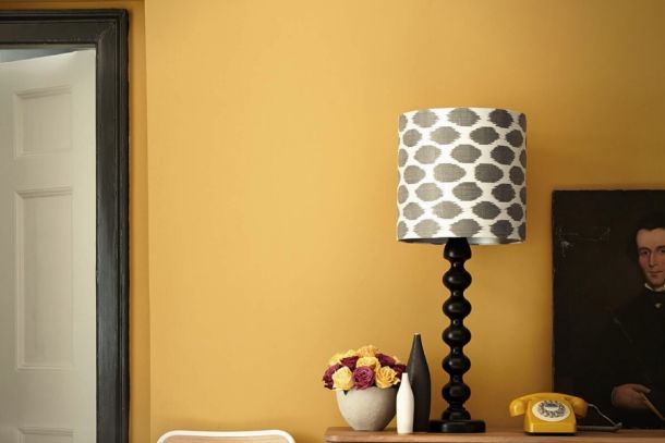Little Greene Paint Collection York