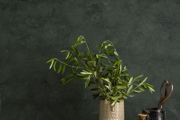 Craig and rose artisan Terre_Vert_Chalk_Wash