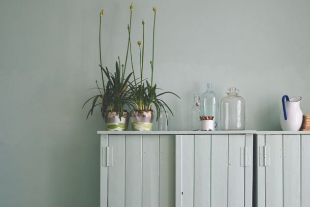 Farrow and Ball Paint York
